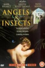 Watch Angels and Insects Wootly