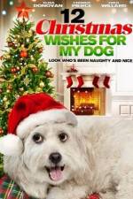 Watch 12 Christmas Wishes For My Dog Wootly