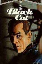 Watch The Black Cat Wootly