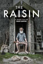 Watch The Raisin (Short 2017) Wootly