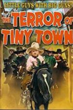 Watch The Terror of Tiny Town Wootly