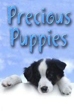 Watch Precious Puppies Wootly