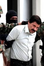 Watch The Rise and Fall of El Chapo Wootly