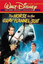 Watch The Horse in the Gray Flannel Suit Wootly