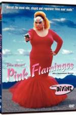 Watch Pink Flamingos Wootly