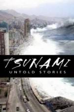 Watch Tsunami: Untold Stories Wootly