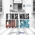 Watch If These Walls Could Sing Wootly