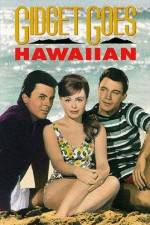 Watch Gidget Goes Hawaiian Wootly