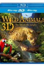 Watch Wild Animals - The Life of the Jungle 3D Wootly