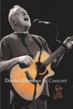 Watch David Gilmour in Concert - Live at Robert Wyatt's Meltdown Wootly