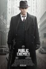 Watch Public Enemies Wootly