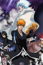 Watch Bleach: The Diamond Dust Rebellion Wootly