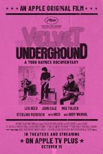 Watch The Velvet Underground Wootly