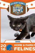 Watch Kitten Bowl III Wootly