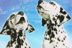 Watch 101 Dalmatians Sing Along Wootly