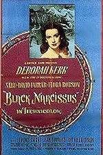 Watch Black Narcissus Wootly