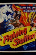 Watch The Fighting Stallion Wootly