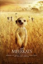 Watch The Meerkats Wootly