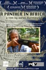 Watch A Panther in Africa Wootly