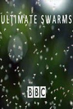 Watch Ultimate Swarms Wootly