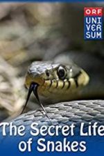 Watch The Secret Life of Snakes Wootly