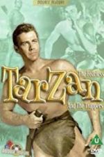 Watch Tarzan and the Trappers Wootly