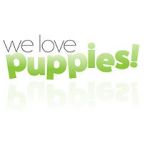 Watch We Love Puppies Wootly