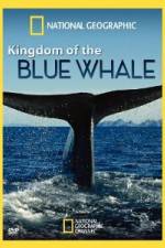 Watch National Geographic Kingdom of Blue Whale Wootly