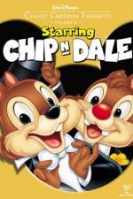 Watch Chip an' Dale Wootly