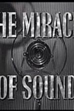 Watch The Miracle of Sound Wootly