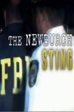 Watch The Newburgh Sting Wootly