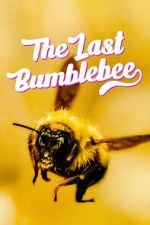 Watch The Last Bumblebee Wootly