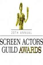 Watch The 20th Annual Screen Actors Guild Awards Wootly