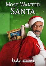 Watch Most Wanted Santa Wootly