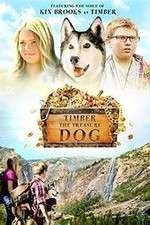 Watch Timber the Treasure Dog Wootly