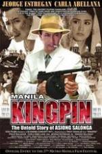 Watch Manila Kingpin: The Asiong Salonga Story Wootly