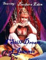 Watch I Still Dream of Jeannie Wootly