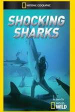 Watch Shocking Sharks Wootly