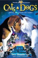 Watch Cats & Dogs Wootly