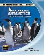 Watch Antarctica (Short 1991) Wootly