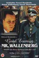 Watch Good Evening, Mr. Wallenberg Wootly