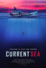 Watch Current Sea Wootly