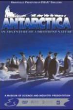 Watch Antarctica Wootly