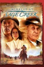 Watch Miracle at Sage Creek Wootly