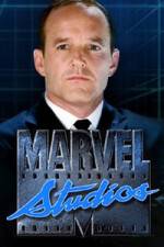 Watch Marvel One-Shot The Consultant Wootly