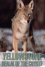 Watch Yellowstone: Realm of the Coyote Wootly