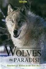 Watch Wolves in Paradise Wootly