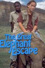 Watch The Great Elephant Escape Wootly