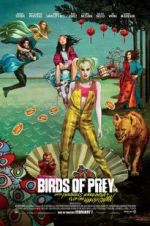 Watch Birds of Prey Wootly