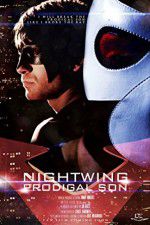 Watch Nightwing Prodigal Son Wootly